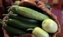 各类网红吃瓜,盘点娱乐圈那些鲜为人知的幕后故事